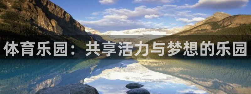 体育乐园：共享活力与梦想的乐园