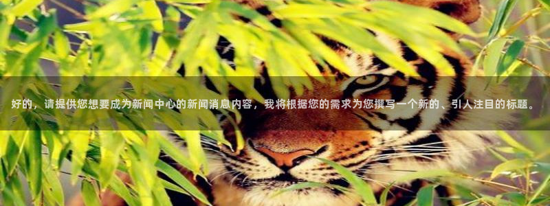 好的，请提供您想要成为新闻中心的新闻消息内容，我将根据您的需求为您撰写一个新的、引人注目的标题。