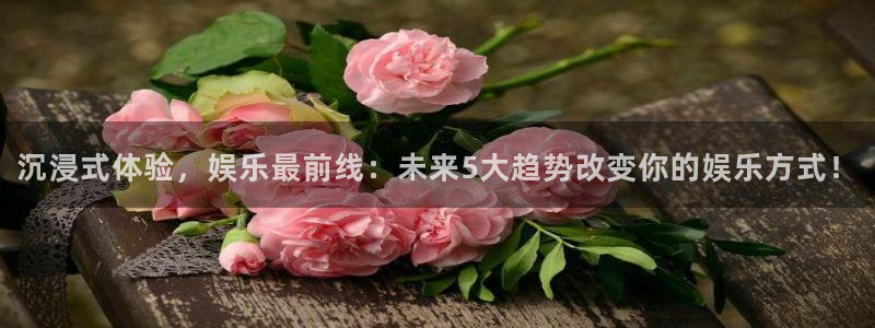 沉浸式体验，娱乐最前线：未来5大趋势改变你的娱乐方式！