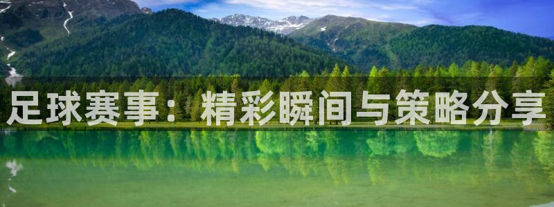 足球赛事：精彩瞬间与策略分享