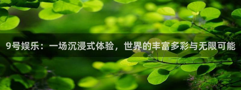 9号娱乐：一场沉浸式体验，世界的丰富多彩与无限可能