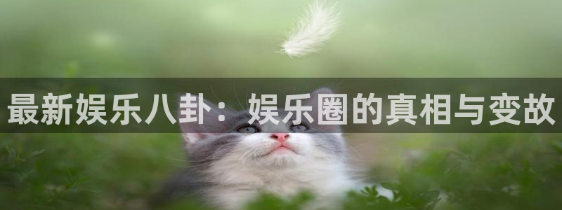 最新娱乐八卦：娱乐圈的真相与变故