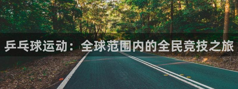 乒乓球运动：全球范围内的全民竞技之旅