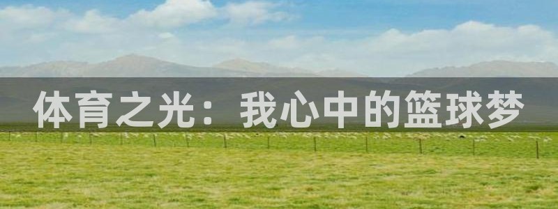 体育之光：我心中的篮球梦