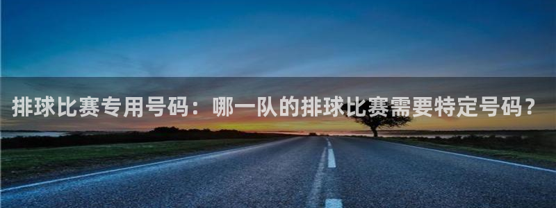 排球比赛专用号码：哪一队的排球比赛需要特定号码？