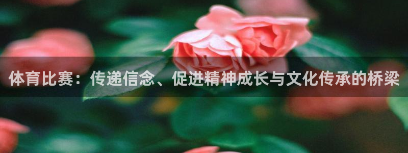 体育比赛：传递信念、促进精神成长与文化传承的桥梁